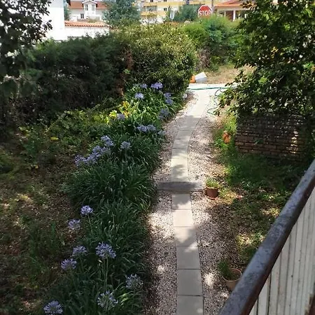 Vivenda Do Sobreiro Al Homestay Serpins